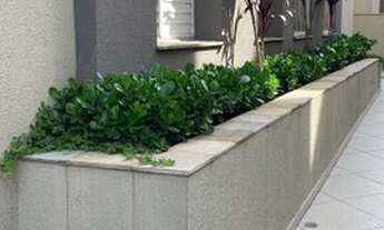 Imagem 5: Apartamento para venda possui 47 metros quadrados com 2 quartos em Jardim Marilu - Carapic