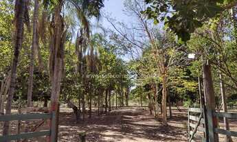 Imagem: Maravilhoza Chacara no Muni. De Santo Antonio