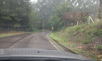 Imagem 5: Sítio de 2.6 hectares em Gramado com Vísta