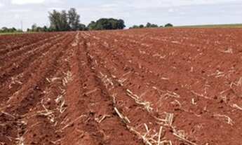 Imagem 5: Fazenda 35 Alqueires, Próximo Limeira-Sp