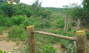 Imagem 7: Fazenda em Nossa Senhora do Livramento à venda, 4870000 m² por R$ 6.000.000 - Zona Rural