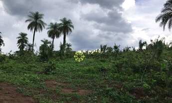 Imagem 7: Fazenda à venda, 580 Hectares em Miranorte do Tocantins