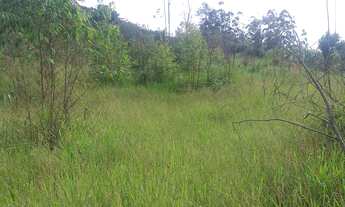 Imagem 4: Sítio 1 Alqueire Morungaba/SP/BR (Ric