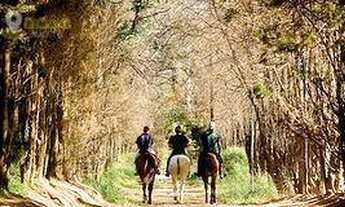 Imagem 13: Terreno à venda, 1098 m² por R$ 680.000 - Kurumin - Itu/SP