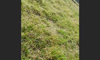 Imagem: J56-TERRENO BARATO !!