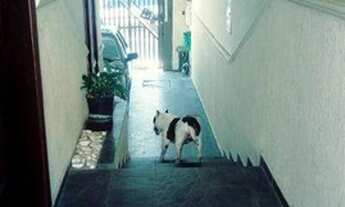 Imagem 6: Sobrado com 3 dormitórios à venda, 228 m² - Parque Terra Nova II - São Bernardo do Campo/S