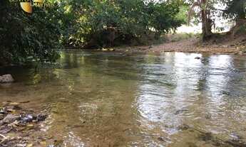 Imagem 4: Fazenda à venda, 10580000 m² por R$ 9.500.000,00 - Santo Antonio - Santo Antônio do Leverg