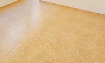 Imagem 7: Casa para Aluguel - Jardim Santa Emília, 1 Quarto, 52 m2