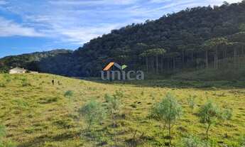 Imagem 6: Chácara - Campo Alegre/SC