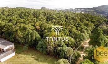 Imagem 2: Área à venda, 76040 m² por R$ 1.700.000,00 - Mato Dentro - Almirante Tamandaré/PR