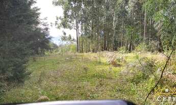 Imagem 4: Sítio / Chácara para Venda em Morro Reuter, São José do Herval