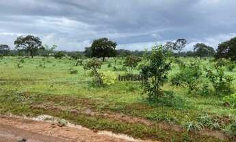 Imagem 4: Fazenda à venda, 127 Hectares em Paraíso do Tocantins