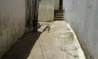 Imagem 2: Casa com 2 dormitórios à venda, 90 m² por R$ 630.000 - Vila Gonçalves - São Bernardo do Ca