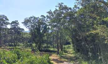 Imagem 3: Terreno com valor especial e ótima localização 4NHNVD