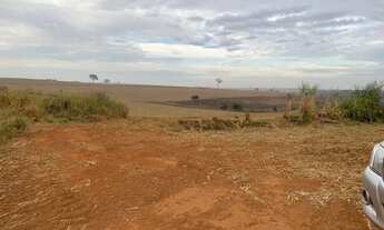 Imagem 3: Fazenda Auriflama, 53 alqueires