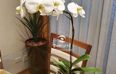 Imagem 7: Apartamento à venda, 72 m² por R$ 338.000,00 - Jardim Olavo Bilac - São Bernardo do Campo