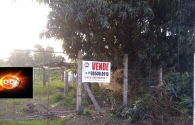 Imagem 5: Terreno 600 m² com acesso e frente da BR 116 em Esteio de barbada!!!