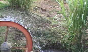 Imagem: Fazenda/Sítio/Chácara para venda com 1200