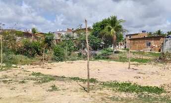 Imagem 2: Paulista - Terreno Padrão - Maranguape I