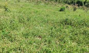 Imagem 7: J56- J56CONQUISTE SUA CASA EM ÁREA RURAL