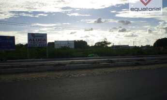 Imagem: Vendo ou Alugo Terreno na Av. Washington