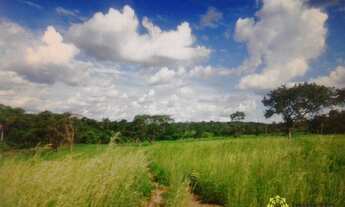Imagem 4: Fazenda à venda, 1.800 Hectares em Dueré do Tocantins