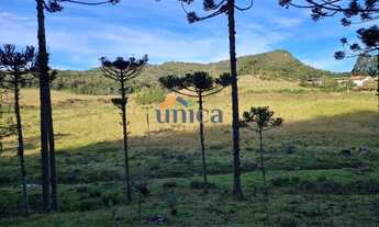 Imagem 7: Chácara - Campo Alegre/SC