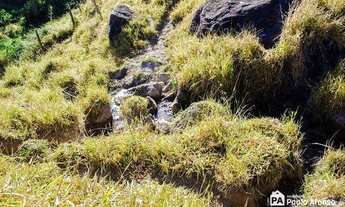 Imagem 7: Sítio à venda, 446000 m² por R$ 850.000,00 - Zona Rural - Caldas/MG