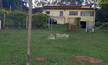 Imagem 2: Chácara com 5 dormitórios à venda, 2520m² por R$ 600.000 - Zona Rural Setor Emborcação - A