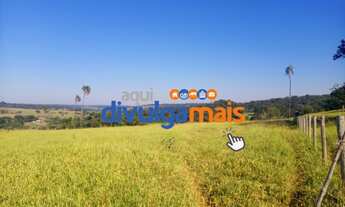 Imagem 5: Fazenda a venda de 47 alqueires na região de Morrinhos GO