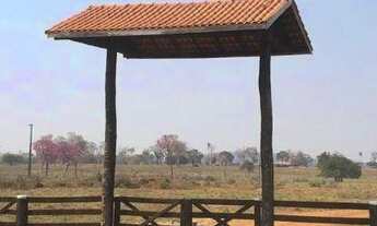 Imagem 6: Fazenda em Cáceres à venda, m² por R$ 33.000.000 - Zona Rural - Cáceres/MT