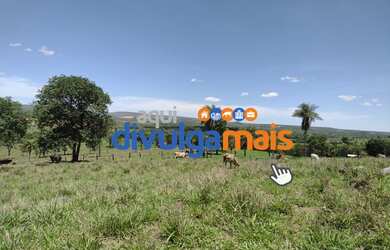 Imagem 5: Fazenda de 36 alqueires para pecuária na região de Formosa GO