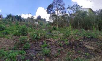 Imagem 4: Terreno à venda, 225 m² por R$ 75.000,00 - Conselheiro Paulino - Nova Friburgo/RJ