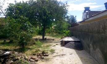 Imagem 4: Vendo terreno em Rua calçada em Pau Amarelo