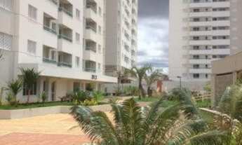 Imagem 4: Invent joy eldorado