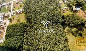 Imagem 5: Área à venda, 76040 m² por R$ 1.700.000,00 - Mato Dentro - Almirante Tamandaré/PR