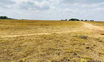 Imagem: Fazenda à venda 1.800 Hectares em Presidente