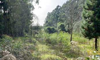 Imagem 2: Sítio / Chácara para Venda em Morro Reuter, São José do Herval