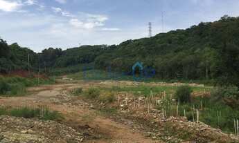 Imagem 2: Terreno em RS 122 - Caxias do Sul