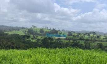 Imagem 7: Fazenda em Pacajá - PA