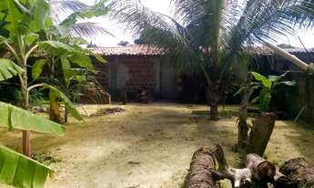 Imagem 6: Vendo terreno em Rua calçada em Pau Amarelo