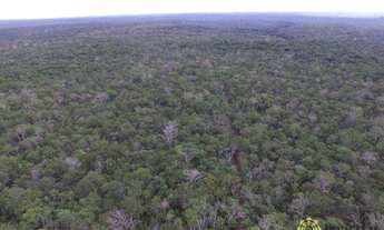 Imagem 6: Fazenda de 560 Hectares em Cristalândia/TO