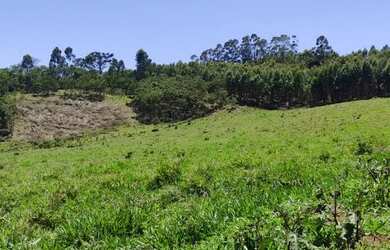 Imagem 13: 5000m² 30,000!!!