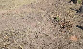 Imagem 3: EXCELENTE FAZ. MUNI. DE SANTO ANTÔNIO DO LESTE