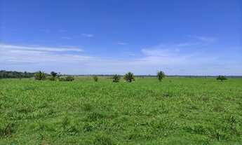 Imagem 3: Fazenda 325 Alqueires Região de Ariquemes