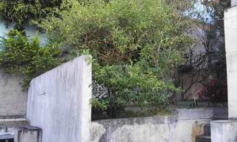 Imagem 5: Casa para venda tem 365 metros quadrados com 3 quartos em Vila Bertioga - São Paulo - SP