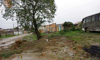 Imagem 3: Terreno à venda, 230 m² - Ubatuba - São Francisco do Sul/SC