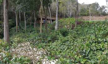 Imagem 4: Terreno à venda, 585 m² por R$ 155.000,00 - Cônego - Nova Friburgo/RJ