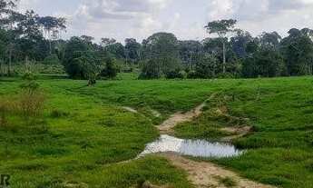 Imagem 3: Fazenda 127 alqueires Jaru