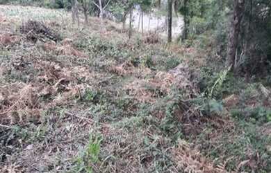 Imagem 4: GRAMADO - Terreno Padrão - Vale das Colinas